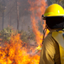 Bushfire Management