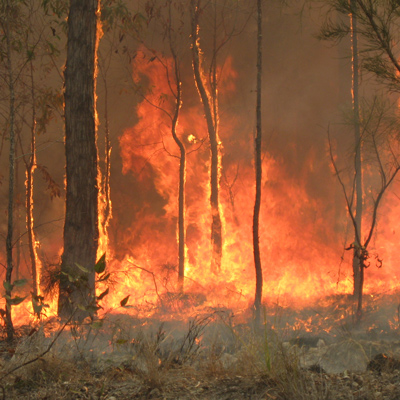 Bushfire Management Plans